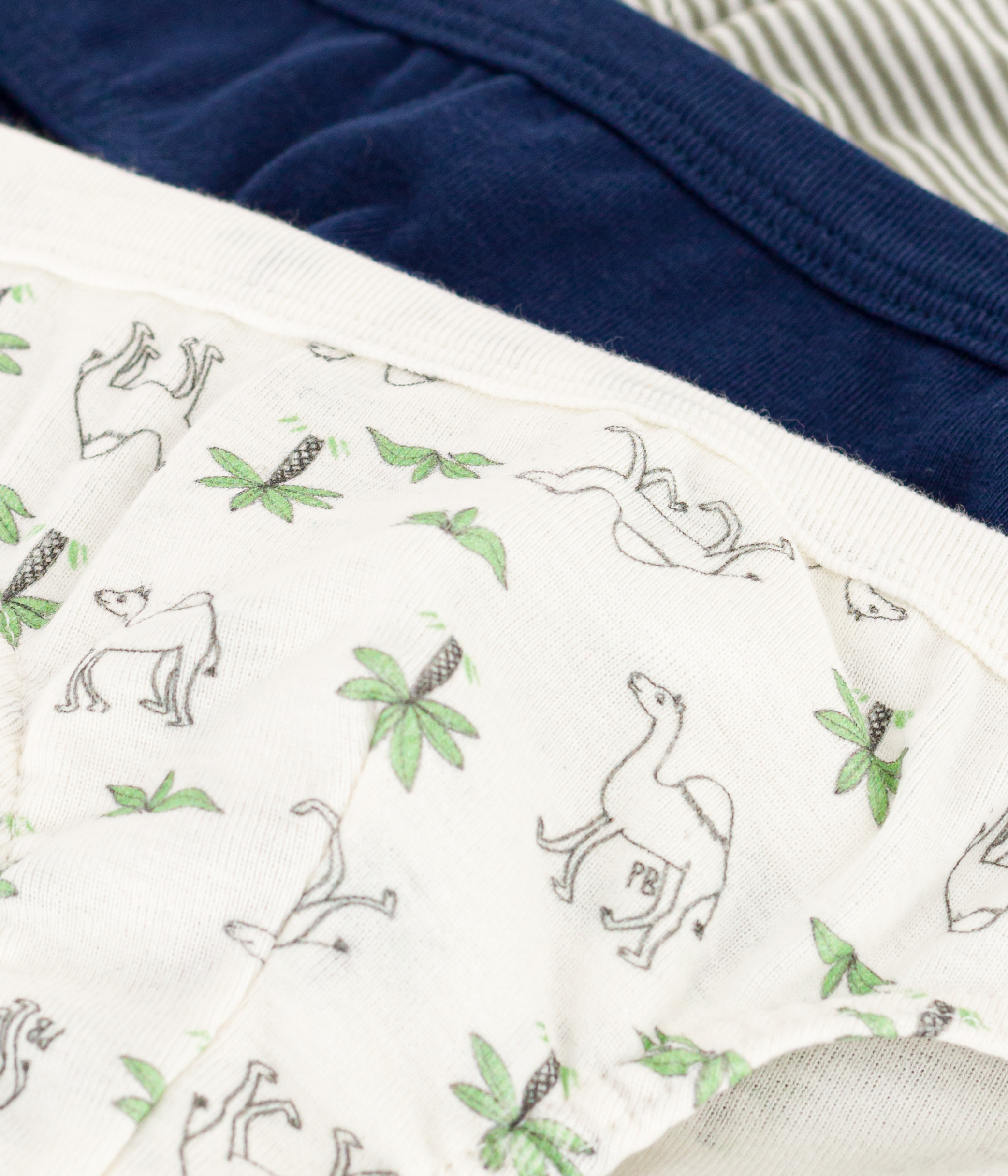 Boys' Cotton Dromedary Patterned Briefs - 3-Pack
