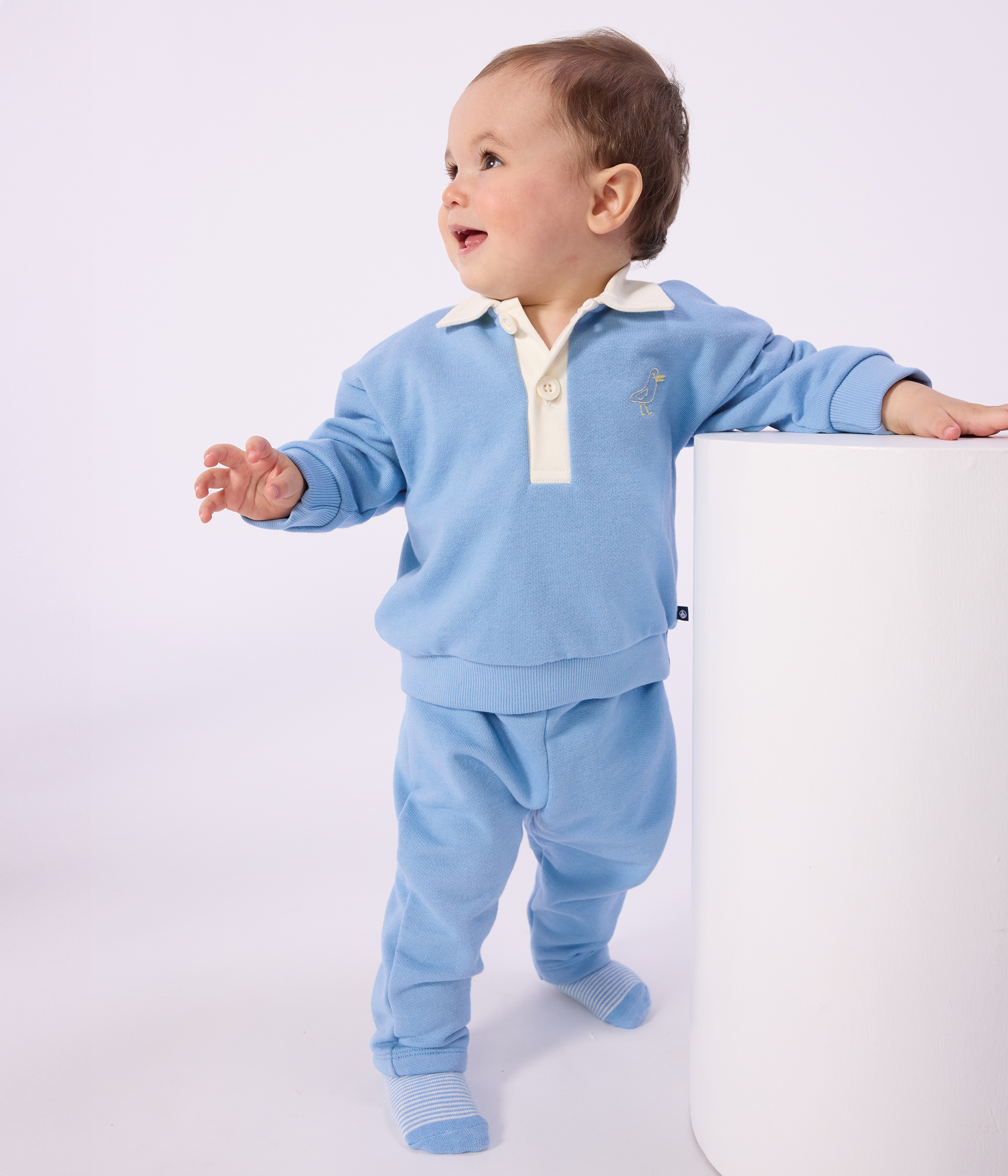 Babies' cotton sweatshirt embroidered with a seagull and a motif at the back